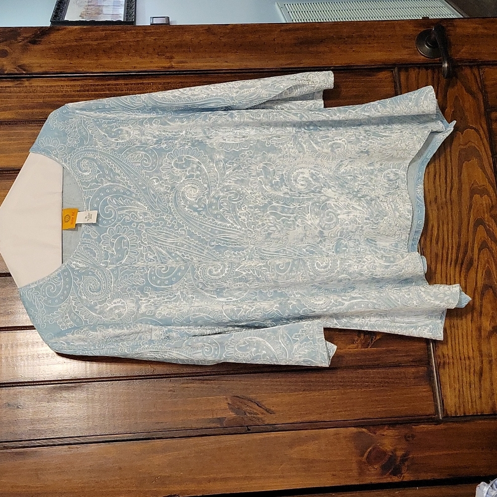 Ruby rd xl velvet type dress blouse